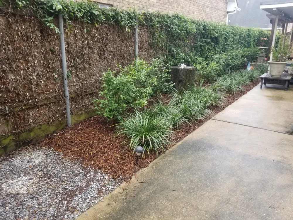 Trusted yard maintenance for year-round maintenance in Metairie, LA by Eco Dat Outside Services