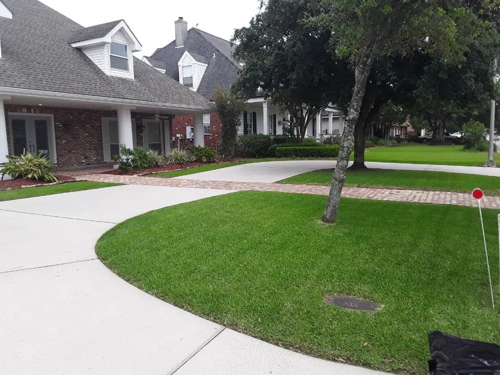 Affordable lawn care service for year-round maintenance in Metairie, LA by Eco Dat Outside Services