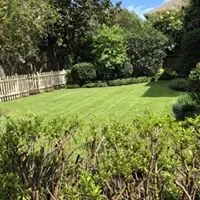 Local landscaping services for outdoor upgrades in Metairie, LA by Eco Dat Outside Services