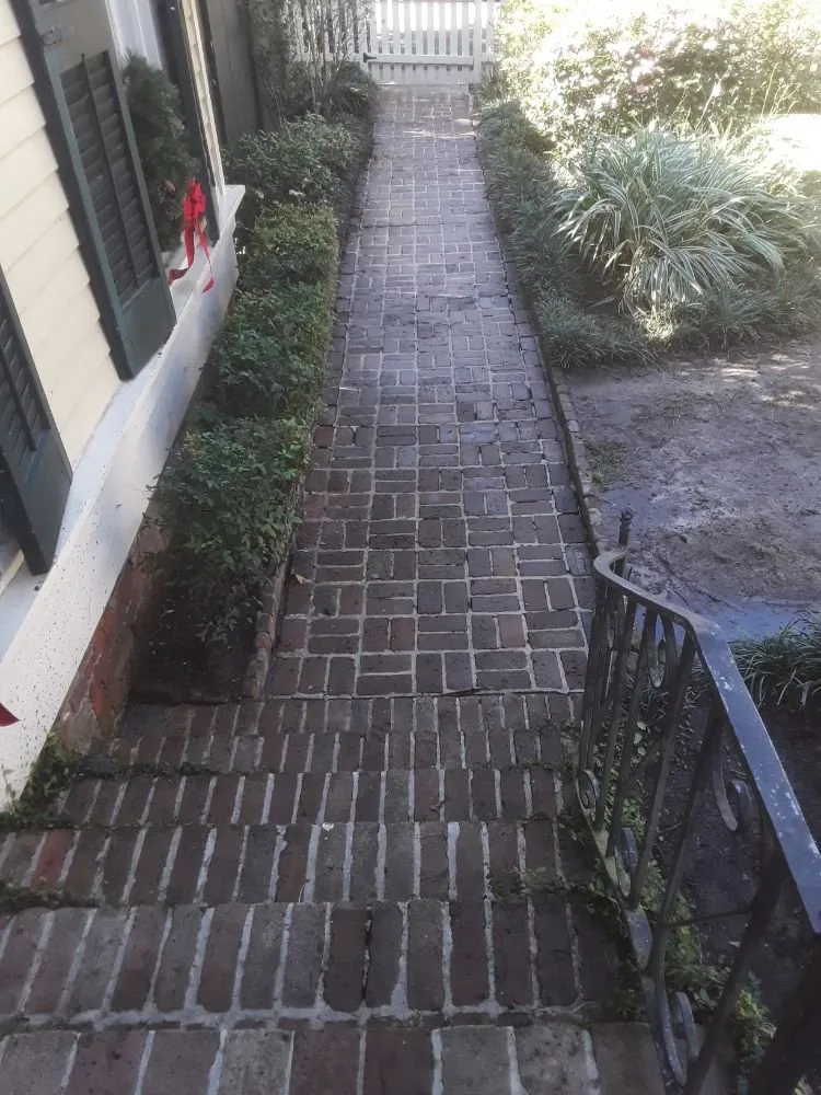 Professional lawn care service experts serving Metairie, LA - Eco Dat Outside Services