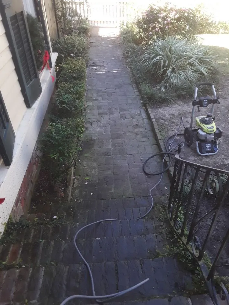 Professional lawn care service for residential properties across Metairie, LA - Eco Dat Outside Services