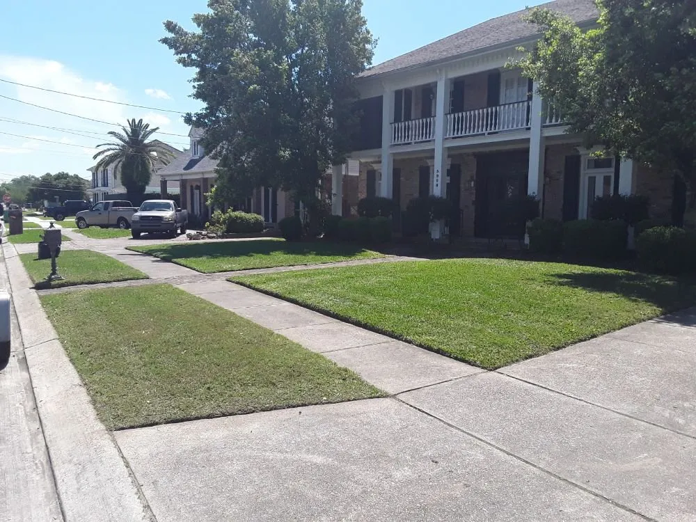 Top-rated lawn care service with custom design across Metairie, LA - Eco Dat Outside Services