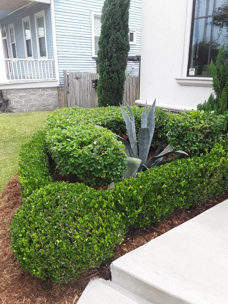 Affordable garden landscaping in Metairie, LA by Eco Dat Outside Services