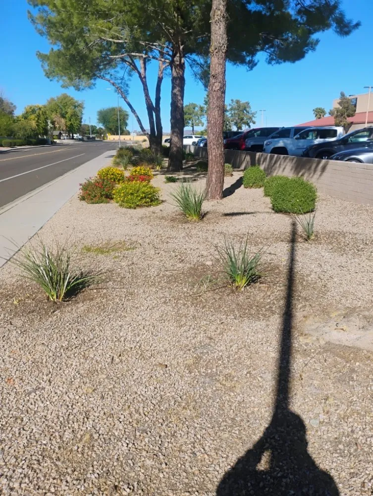 Top-rated outdoor landscaping experts serving Surprise, AZ - Eco Eclipses Landscape