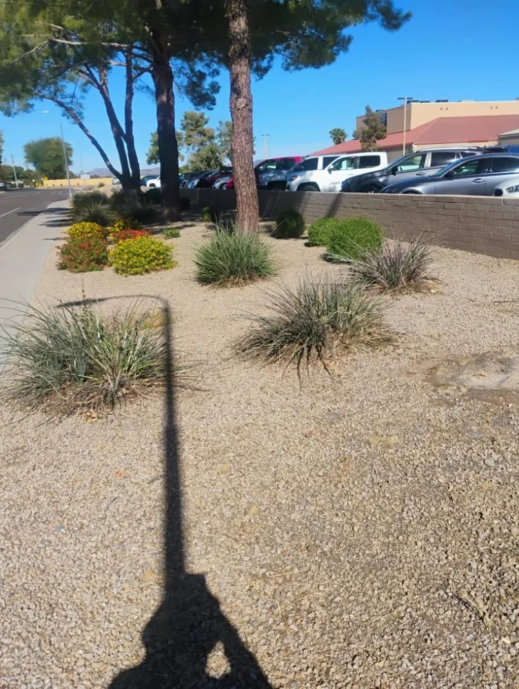 Affordable lawn mowing service in Surprise, AZ - Eco Eclipses Landscape