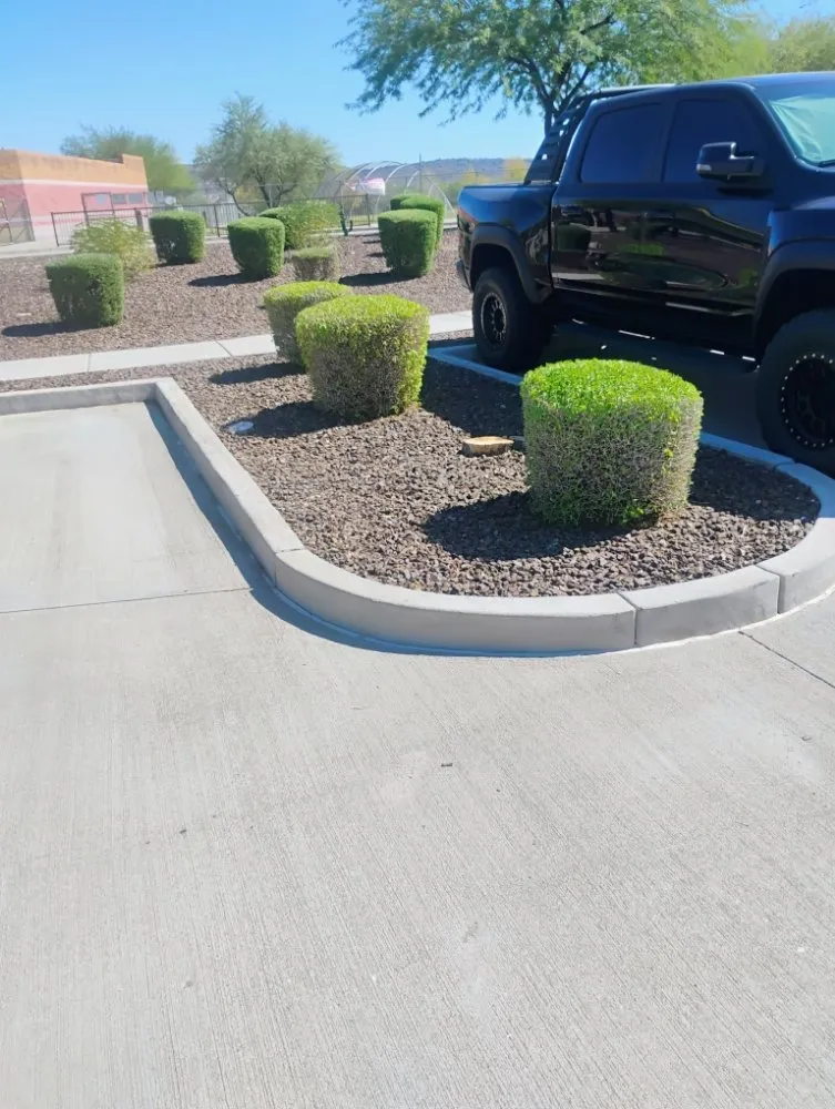 Top-rated yard cleanup service in Surprise, AZ by Eco Eclipses Landscape