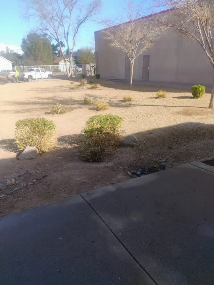 Trusted outdoor landscaping for beautiful yards in Surprise, AZ by Eco Eclipses Landscape