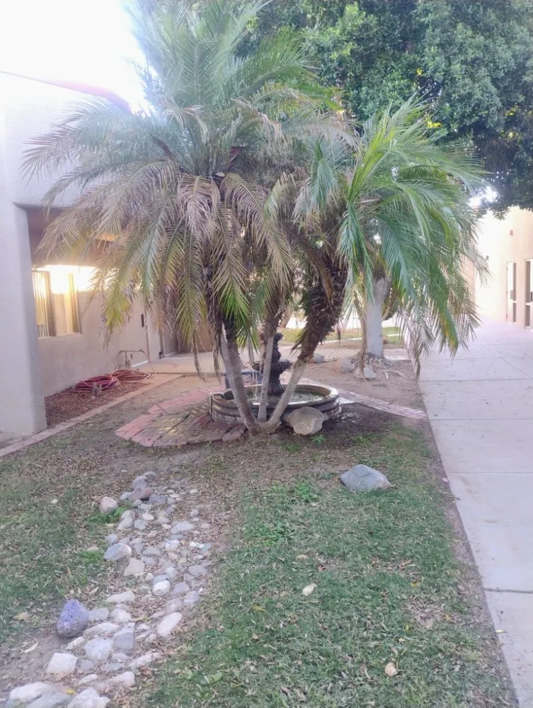 Reliable landscape installation experts serving Surprise, AZ - Eco Eclipses Landscape