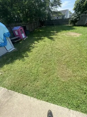 Eco Edge Landscaping