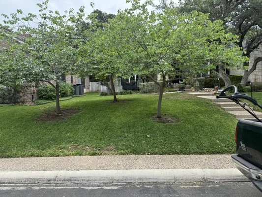 Eco Edge Lawn Care Logo