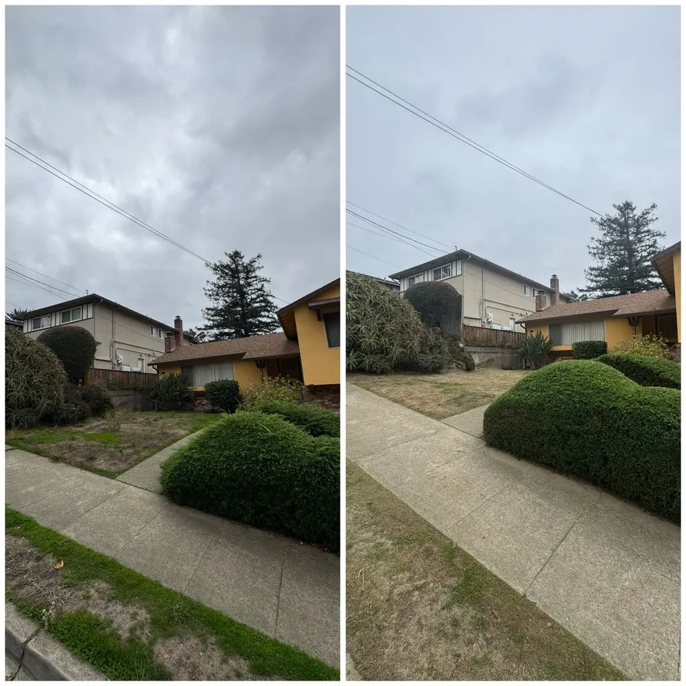 Reliable lawn mowing service for year-round maintenance across Oakland, CA - Eco Elements Landscaping