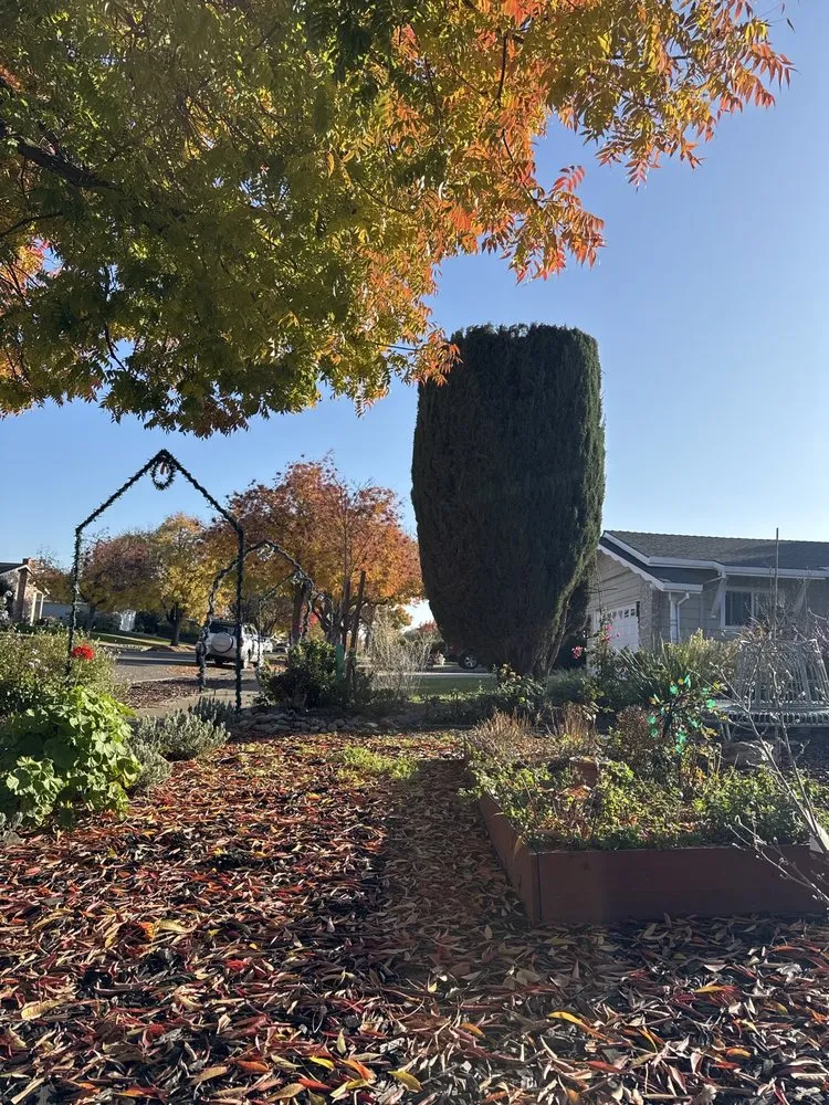 Custom landscape installation for residential properties in Oakland, CA by Eco Elements Landscaping