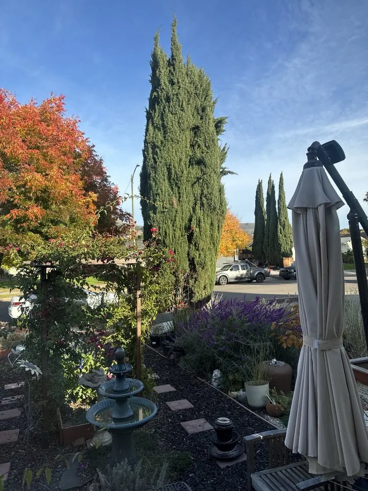 Affordable landscape installation experts serving Oakland, CA - Eco Elements Landscaping