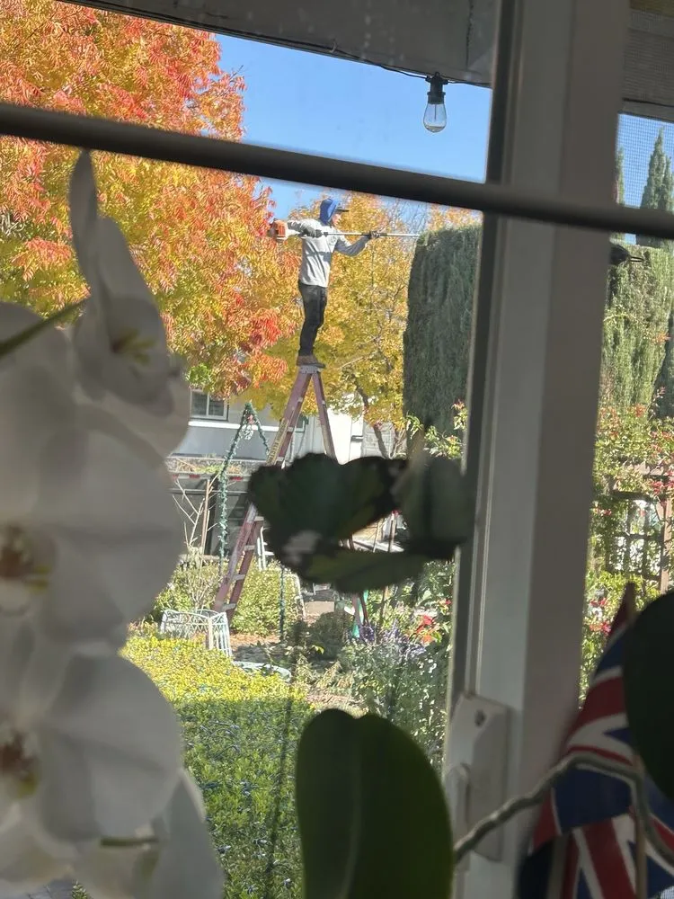 Affordable landscaping services in Oakland, CA - Eco Elements Landscaping