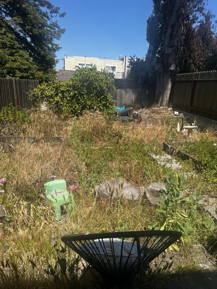 Professional yard maintenance experts serving Oakland, CA - Eco Elements Landscaping