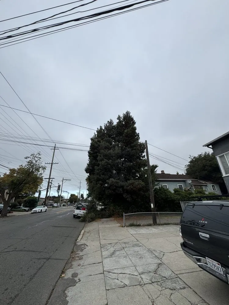 Custom lawn mowing service for year-round maintenance across Oakland, CA - Eco Elements Landscaping