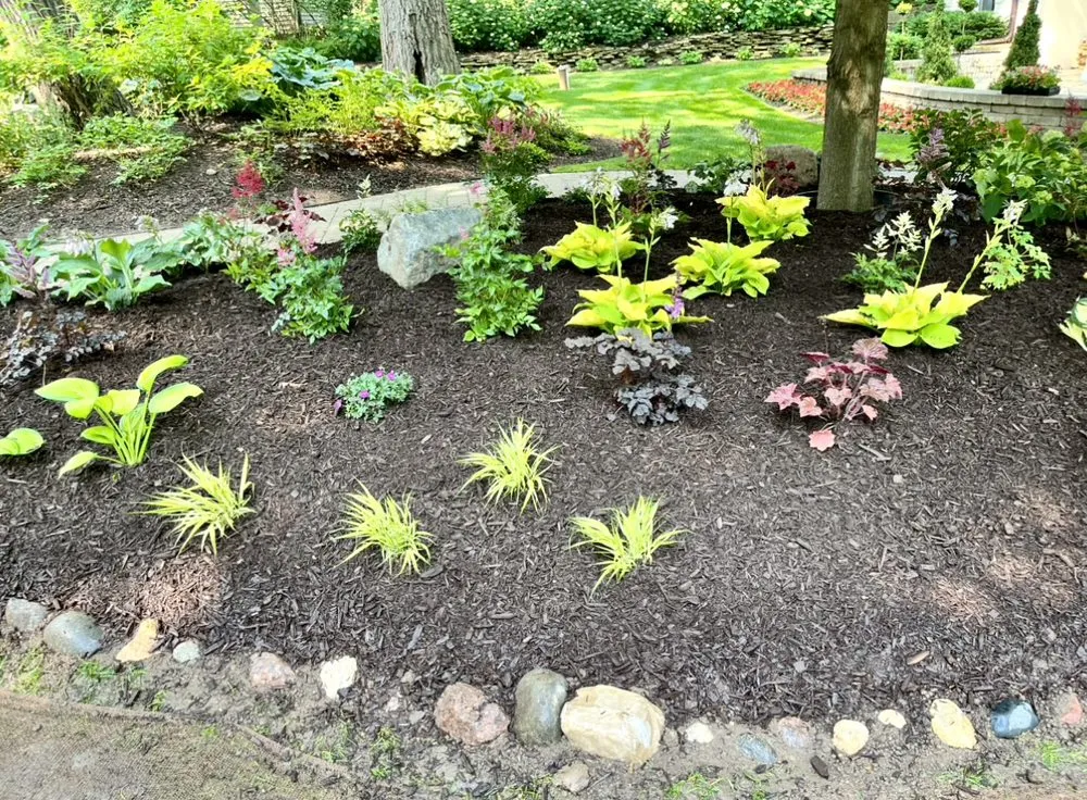 Professional landscape installation for beautiful yards across Algonquin, IL - Eco Friendly Landscapes and Gardens