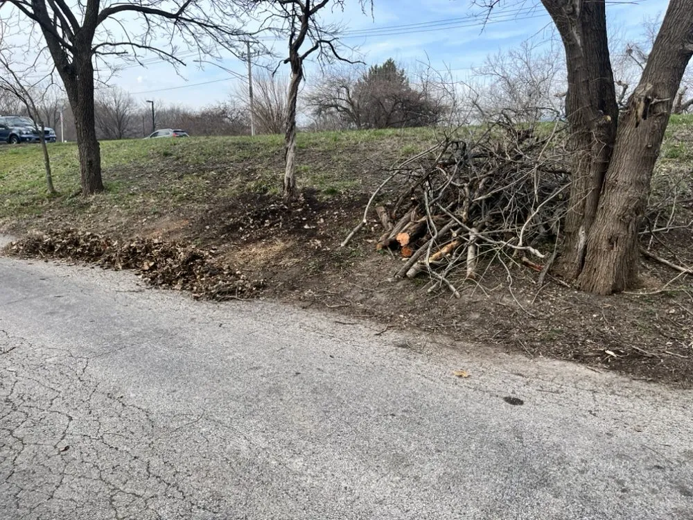 Expert lawn care service experts serving Algonquin, IL - Eco Friendly Landscapes and Gardens