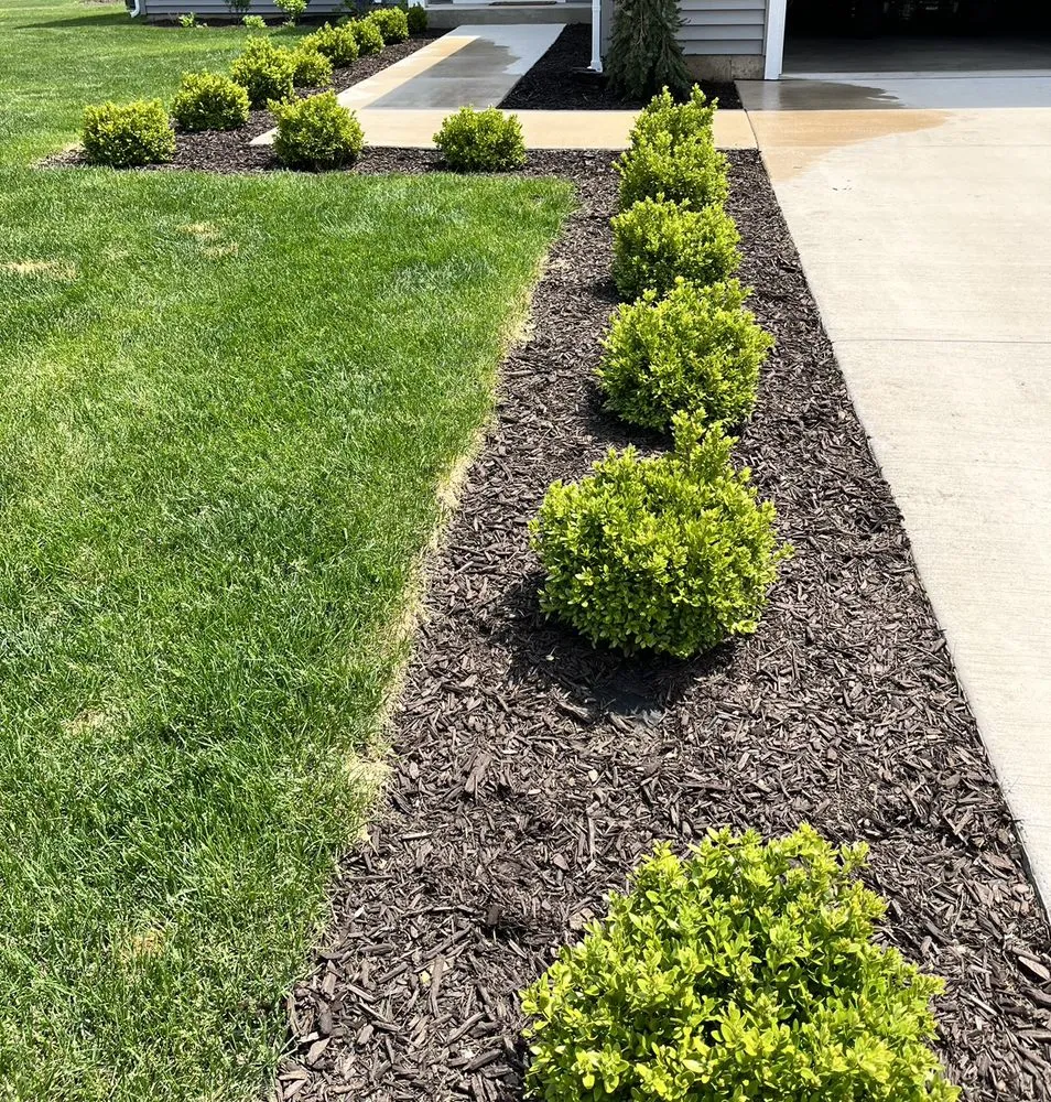 Custom landscaping services for beautiful yards across Algonquin, IL - Eco Friendly Landscapes and Gardens