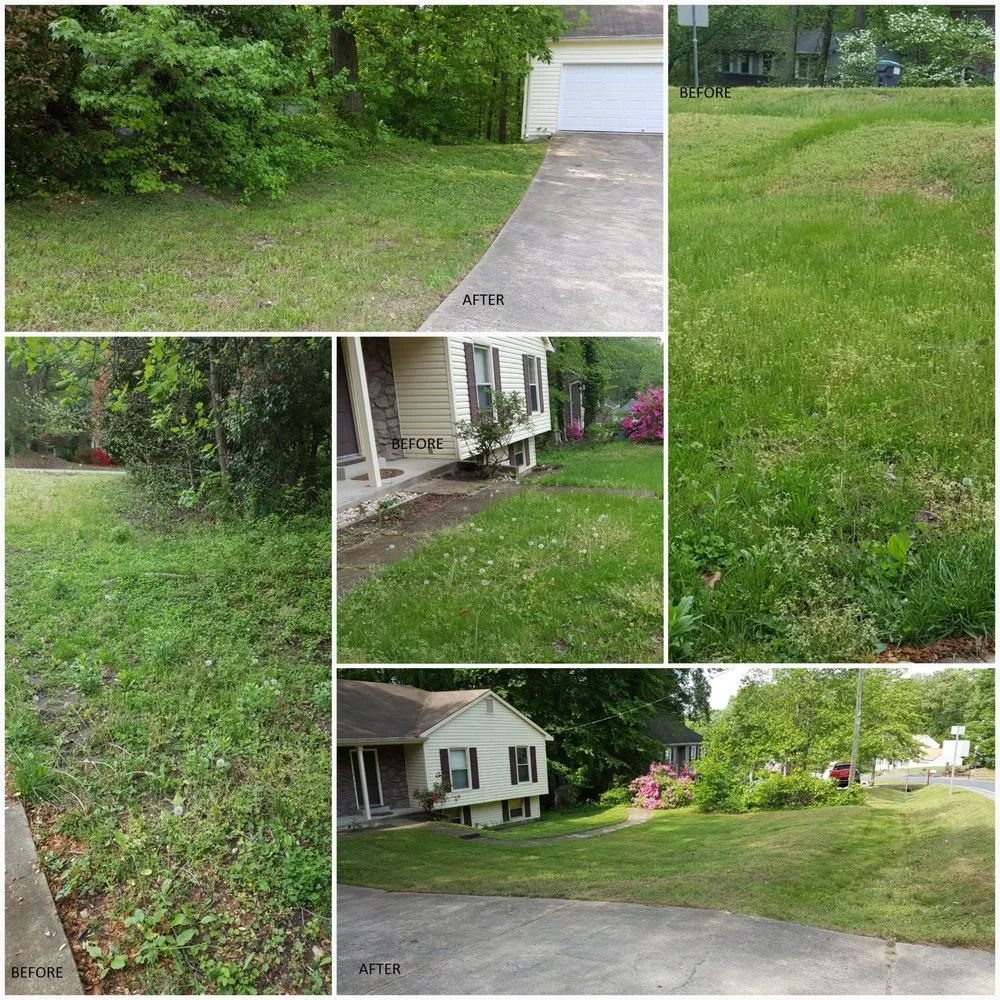 Top-rated outdoor landscaping with custom design across Woodbridge, VA - Eco-Friendly Lawn and Landscaping