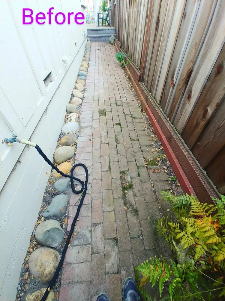 Affordable landscape design for year-round maintenance in Carmel-by-the-Sea, CA by ECO Gal Habitats & Design