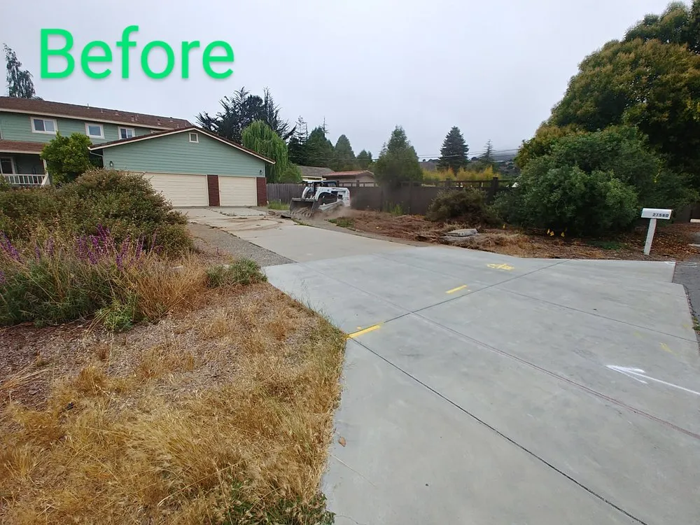 Professional outdoor landscaping experts serving Carmel-by-the-Sea, CA - ECO Gal Habitats & Design