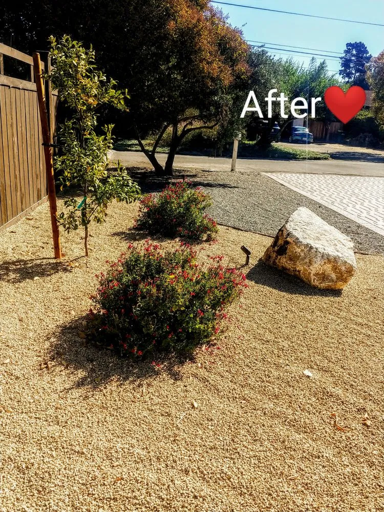 Expert residential landscaping in Carmel-by-the-Sea, CA - ECO Gal Habitats & Design