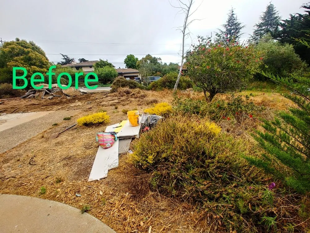 Reliable yard maintenance in Carmel-by-the-Sea, CA by ECO Gal Habitats & Design