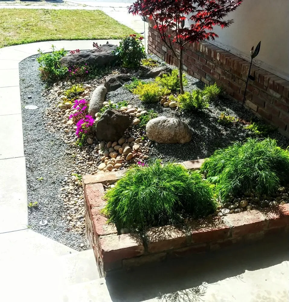 Professional garden landscaping in Carmel-by-the-Sea, CA by ECO Gal Habitats & Design