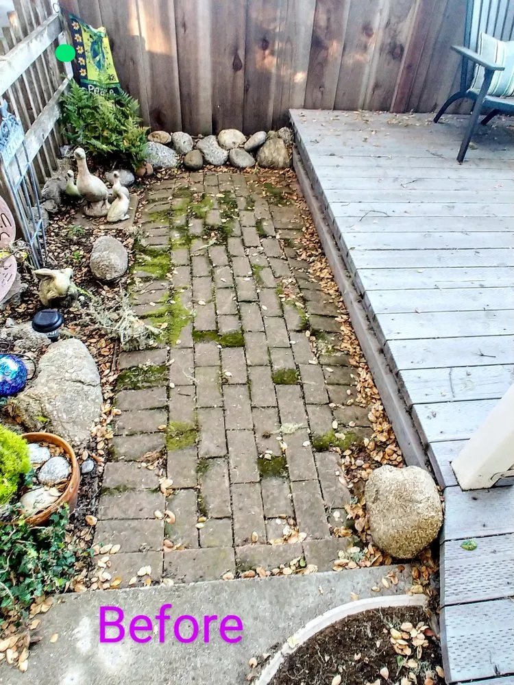 Professional landscape design with custom design in Carmel-by-the-Sea, CA by ECO Gal Habitats & Design