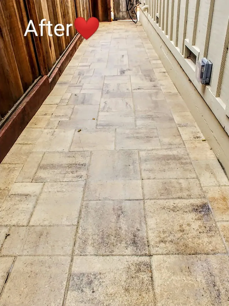 Custom residential landscaping in Carmel-by-the-Sea, CA - ECO Gal Habitats & Design