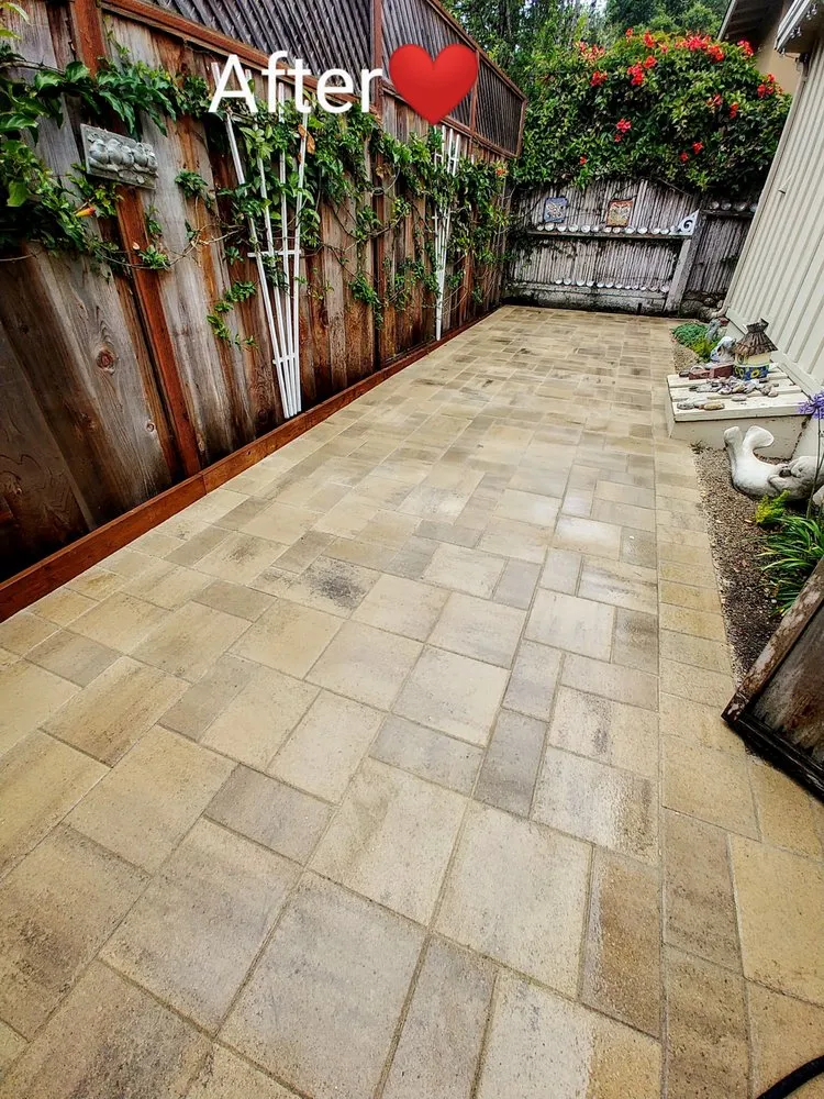 Reliable landscape design experts serving Carmel-by-the-Sea, CA - ECO Gal Habitats & Design