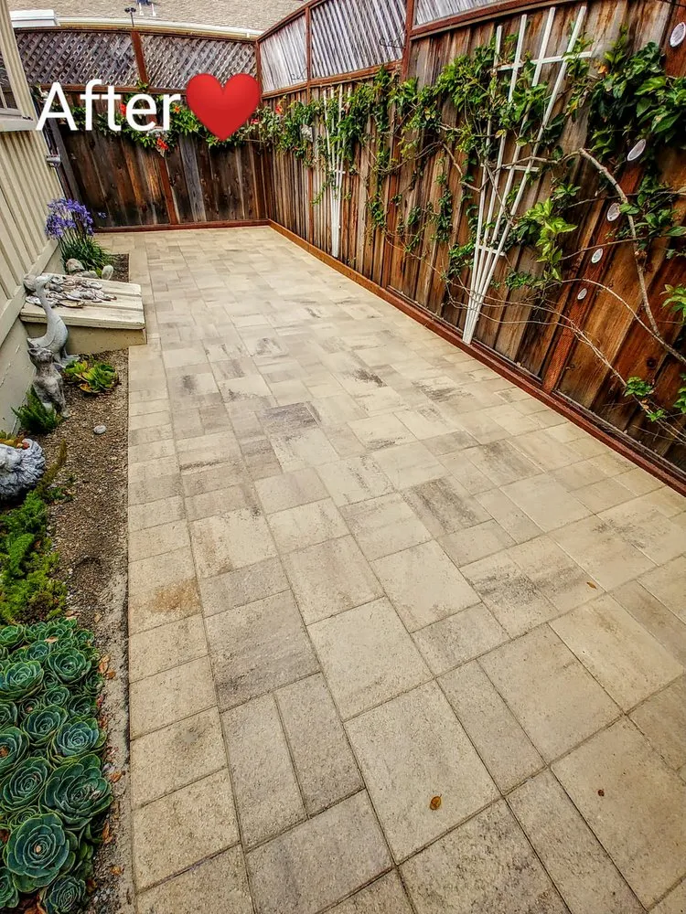Professional landscape installation in Carmel-by-the-Sea, CA by ECO Gal Habitats & Design