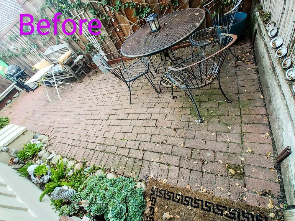 Professional landscape design experts serving Carmel-by-the-Sea, CA - ECO Gal Habitats & Design