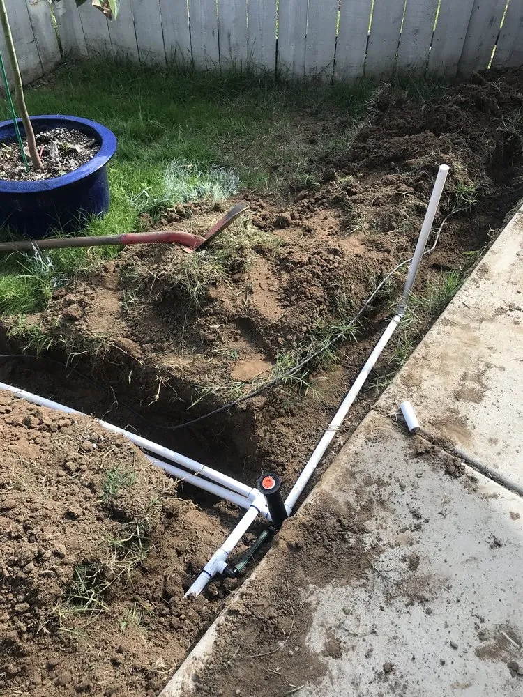 Affordable garden landscaping near you in San Diego, CA by Eco Gardeners