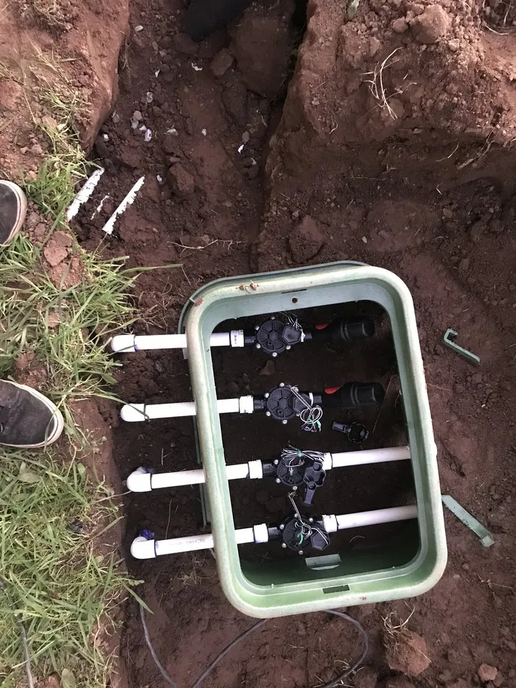 Professional yard maintenance in San Diego, CA by Eco Gardeners