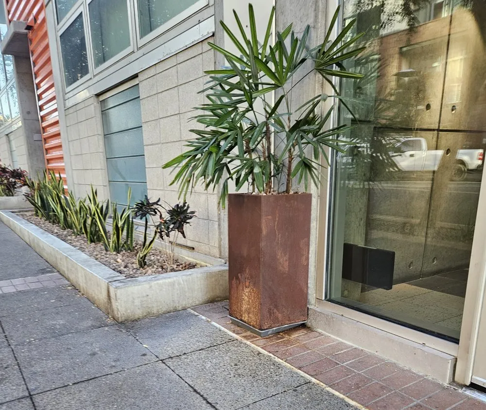 Expert residential landscaping with custom design across San Diego, CA - Eco Gardeners