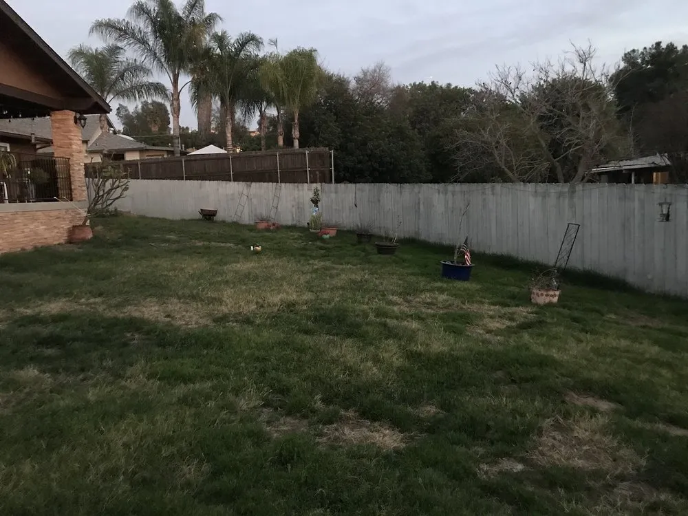 Custom lawn care service experts serving San Diego, CA - Eco Gardeners