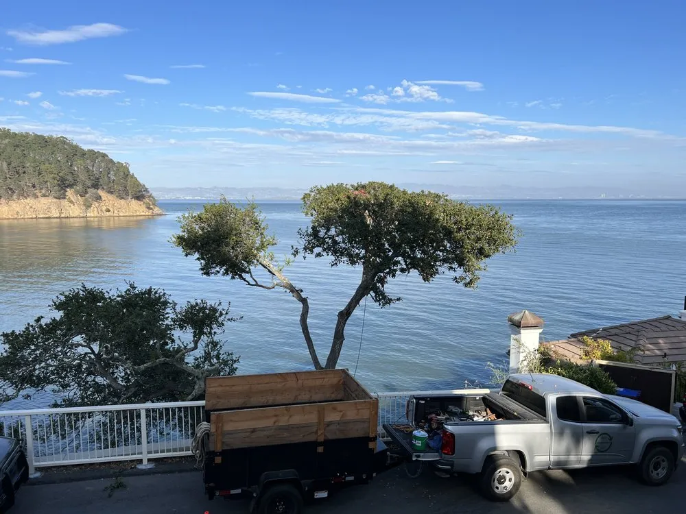 Reliable lawn mowing service in Point Reyes Station, CA by Eco-Gardening