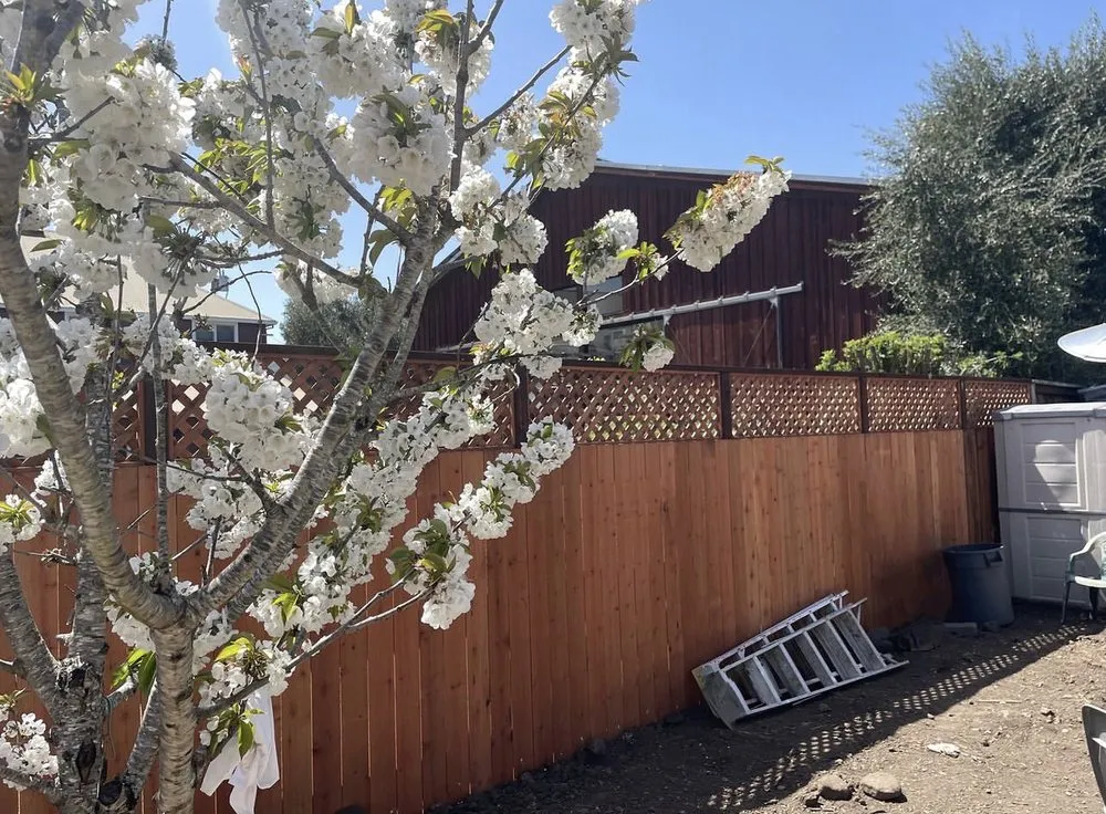 Affordable landscape design in Point Reyes Station, CA - Eco-Gardening