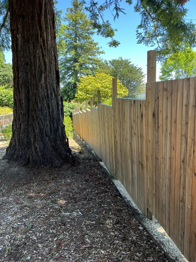 Custom landscape installation for homes across Point Reyes Station, CA - Eco-Gardening