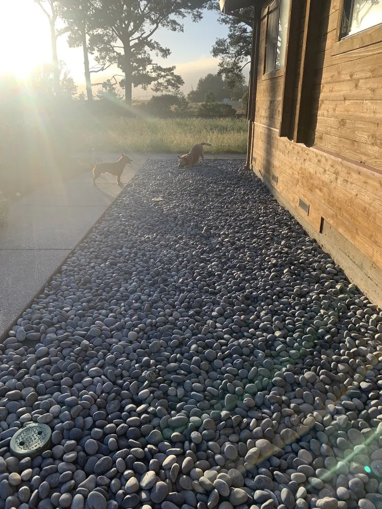 Trusted yard cleanup service in Point Reyes Station, CA - Eco-Gardening