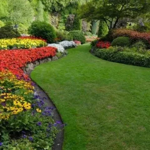 Custom yard maintenance near you in Brewster, NY by Eco Green Empire