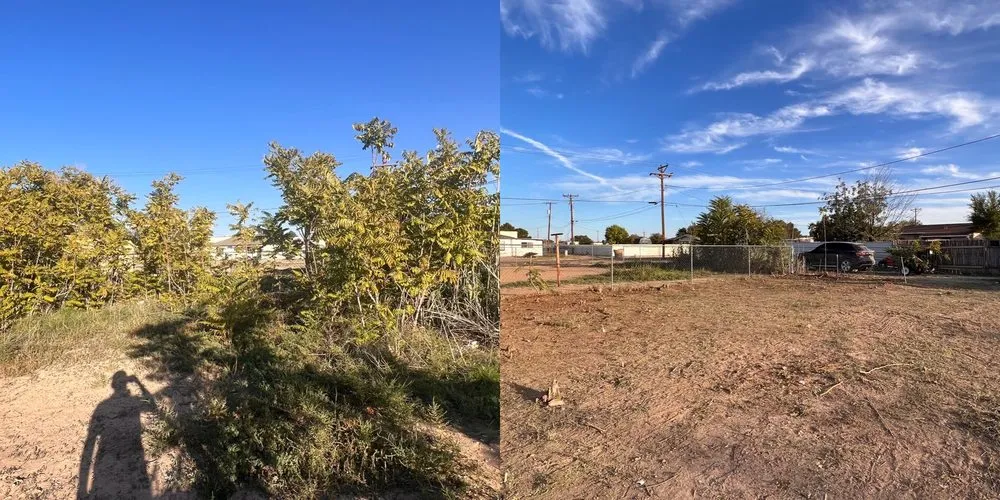 Local garden landscaping for outdoor upgrades in Roswell, NM by Eco Green Environmental