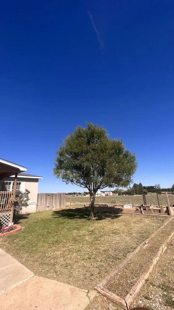 Custom landscaping services experts serving Roswell, NM - Eco Green Environmental