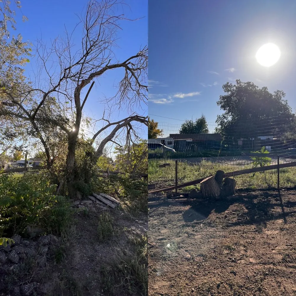 Trusted yard cleanup service with custom design in Roswell, NM by Eco Green Environmental