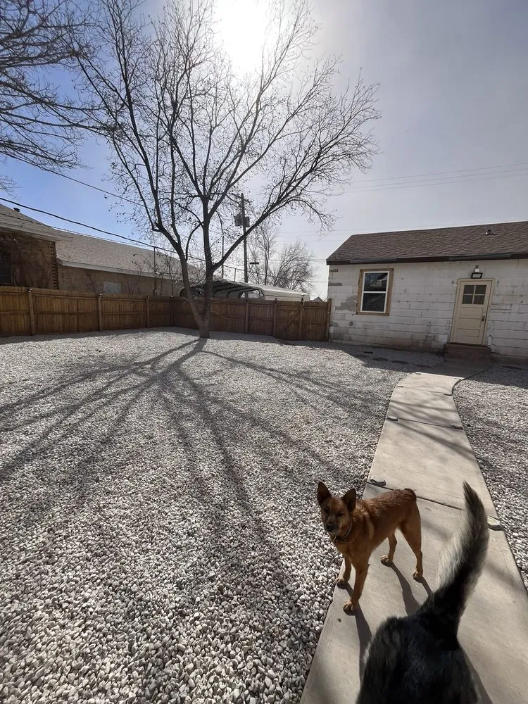 Affordable outdoor landscaping in Roswell, NM by Eco Green Environmental