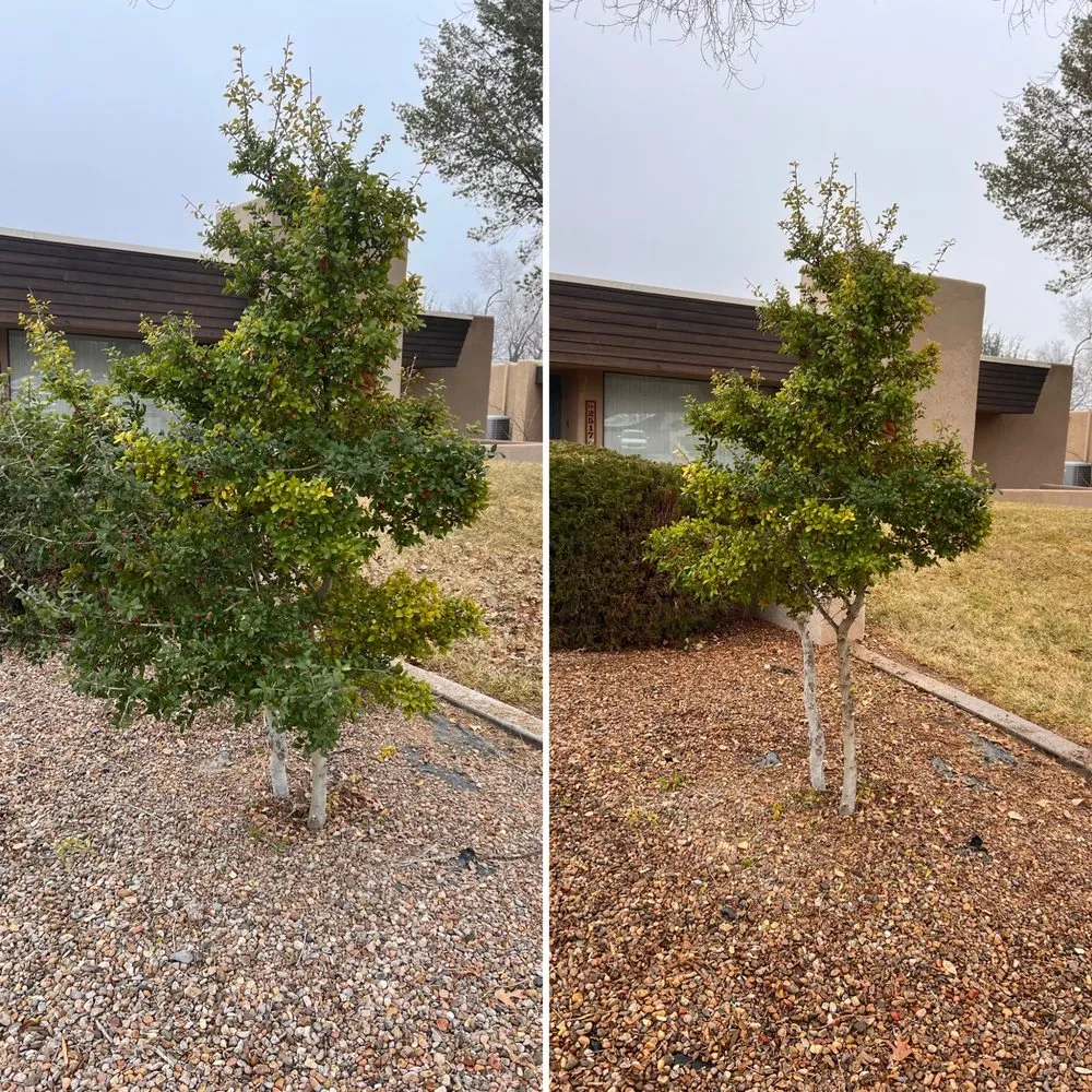 Affordable lawn mowing service for homes across Roswell, NM - Eco Green Environmental