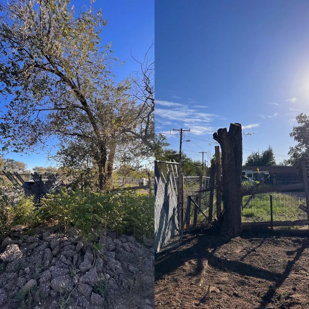 Trusted lawn care service experts serving Roswell, NM - Eco Green Environmental