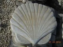 Professional yard maintenance in Ramrod Key, FL - Eco Green Garden Center